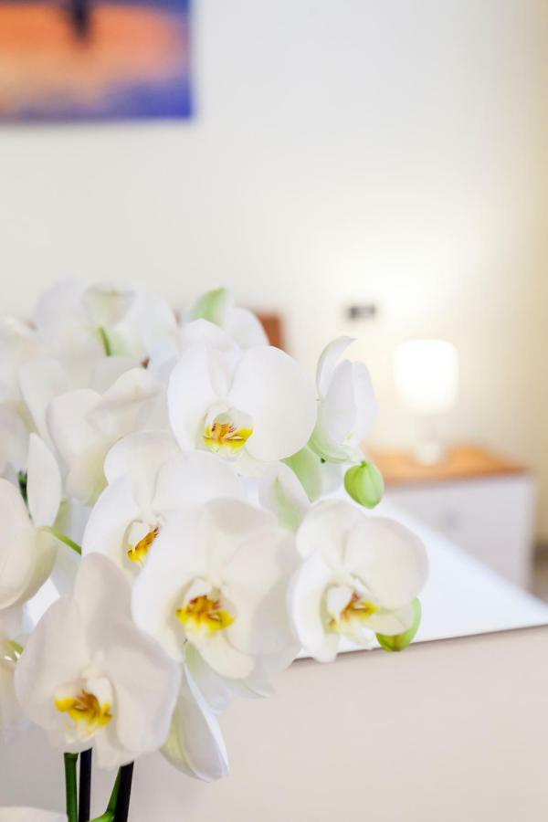 Iris Centralissimo Sanremo Exteriör bild